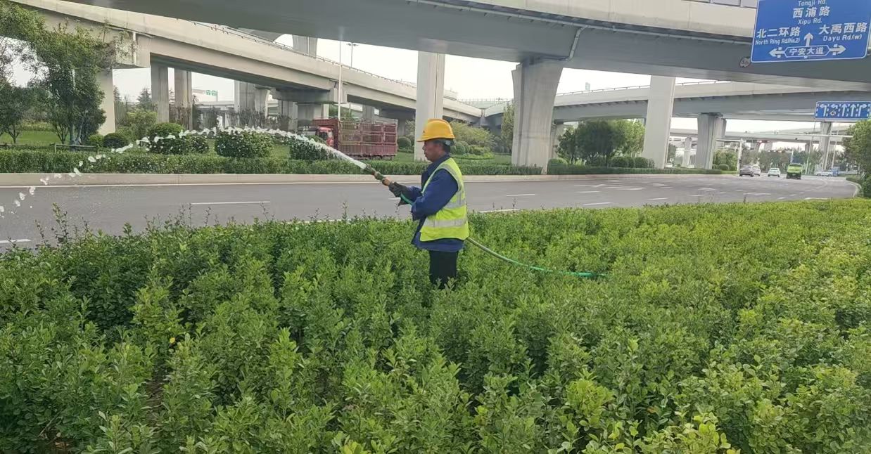 绿化工程